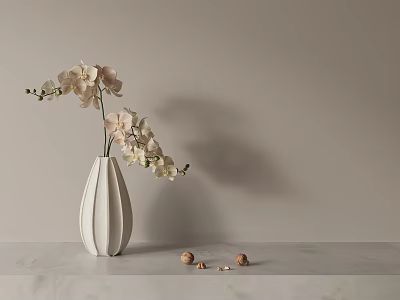 Bonsai Potted Plant With Light Colored Orchids In White Vase On Marble Countertop And Walnuts 3d model