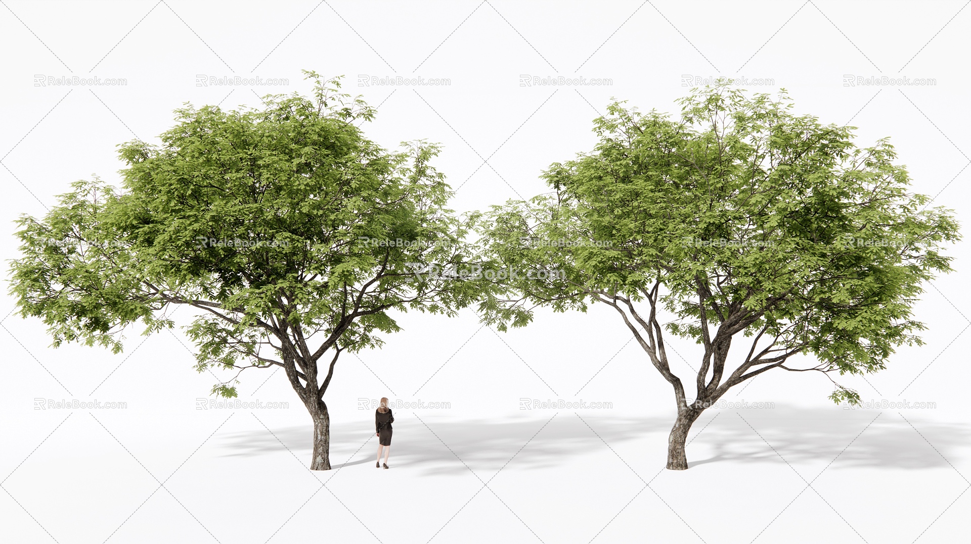 Landscape Tree Arbor Landscape Tree Street Tree 3d model