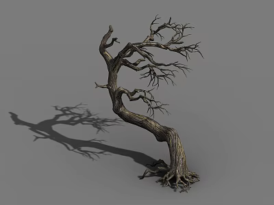 Bare Dry Tree With Twisted Trunk Exposed Roots And Long Shadow 3d model