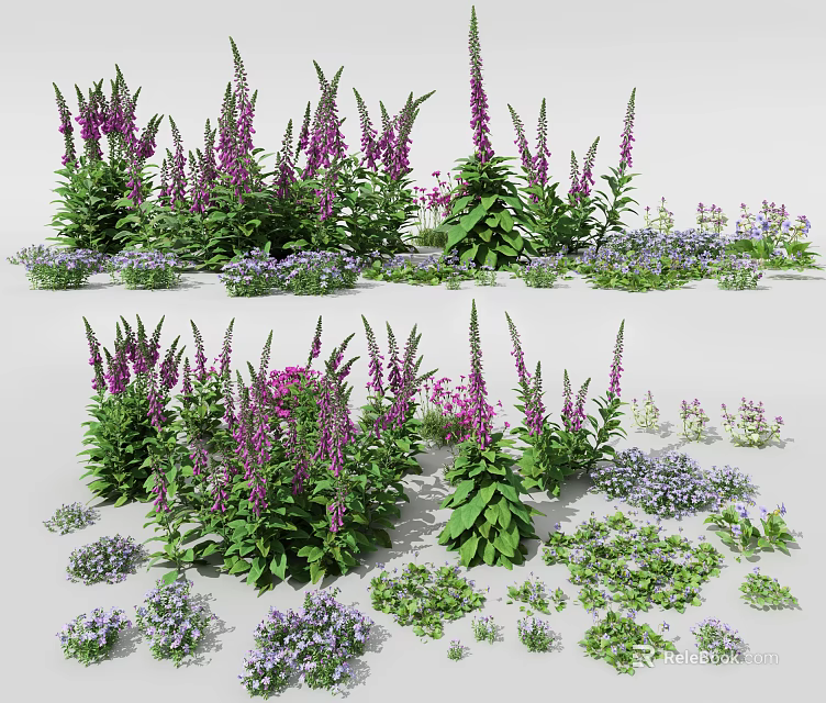 Colorful Garden Flowers With Purple Blooms White Petals And Green Foliage 3d model 