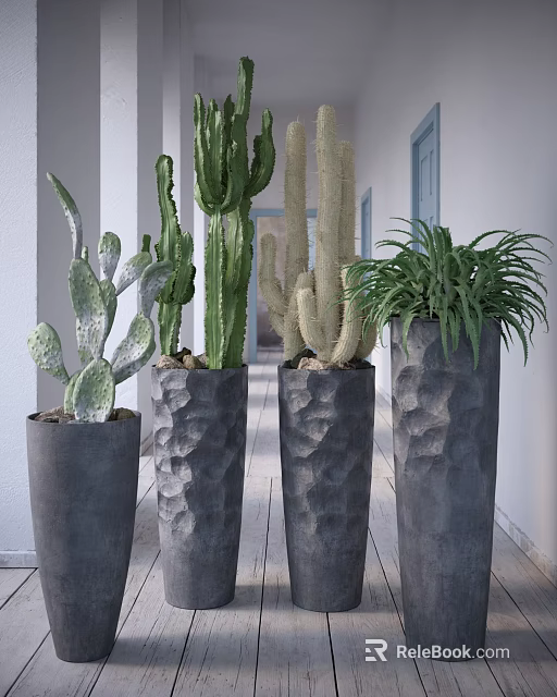 Stylish Potted Cactus Succulent Plants in Gray Textured Planters on Porch 3d model 