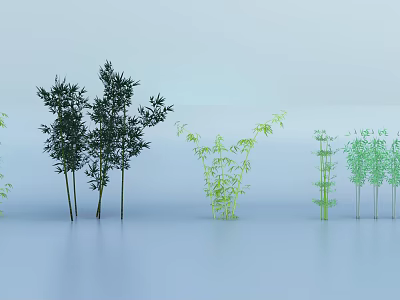 Different Bamboo Varieties with Dark and Light Green Colors and Varying Heights 3d model
