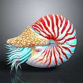 Vibrant Nautilus With Red White Striped Shell Blue Tentacles And Orange Spotted Mantle