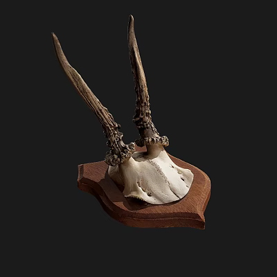 Decorative Ornament Set with Deer Skull and Antlers on Wooden Base for Home Decor Accent 3d model