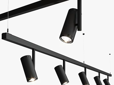 Modern Black Track Mounted Downlights and Spotlights for Indoor Ceiling Lighting 3d model