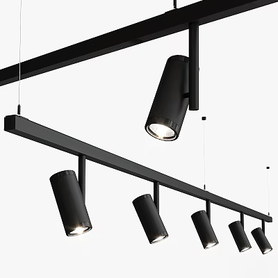 Modern Black Track Mounted Downlights and Spotlights for Indoor Ceiling Lighting 3d model