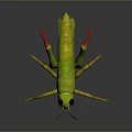 3D Rendered Green Grasshopper With Red Legs And Large Eyes On Gray Background