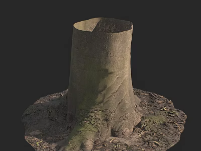 Textured Stone And Wood Tree Stump With Exposed Roots In Soil 3d model