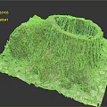 Natural Tree Stump With Green Moss And Fallen Leaves In Outdoor Scene