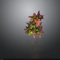 Colorful Decorative Plant Sculpture With Vibrant Multicolored Leaves And Branch Design