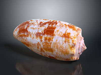 Vibrant Orange and White Aquatic Animal Shell with Shiny Patterned Surface 3d model