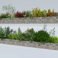 Roadside Planter Boxes With Mixed Green Shrubs And Colorful Flowers
