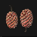 Two Fresh Red Fruits With Bumpy Surface And Brown Stems On Dark Background