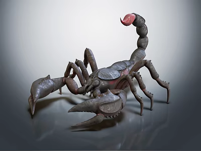 Detailed Scorpion With Curved Tail Red Stinger And Sharp Claws On Gray Background 3d model