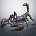 Detailed Scorpion With Curved Tail Red Stinger And Sharp Claws On Gray Background