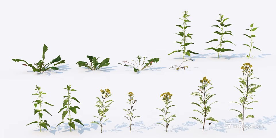 Diverse Flowering Plants with Green Leaves and Yellow Blooms Arranged on White Background 3d model 