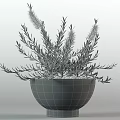 Indoor Potted Plants With Large Green Leaves Red Spikes And White Black Gray Decorative Pots