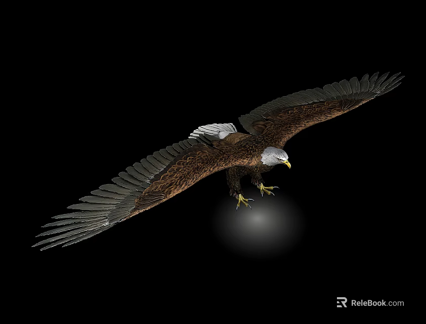 Flying Eagle With Spread Wings Against Black Background Showing Sharp Claws And Light Spot Below 3d model 