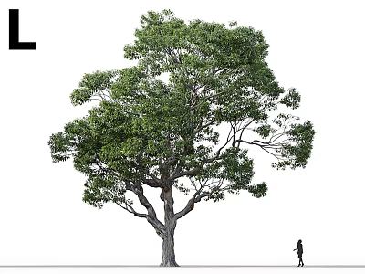 Tall Lush Arbor With Green Foliage And A Person On White Backdrop 3d model