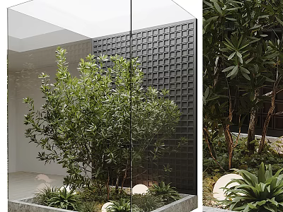 Lush Green Shrub In Modern Courtyard With Black Textured Wall Round Lighting And Concrete Planter 3d model