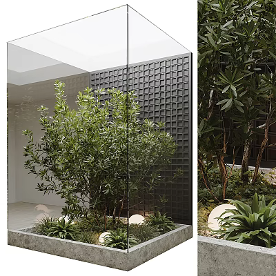 Lush Green Shrub In Modern Courtyard With Black Textured Wall Round Lighting And Concrete Planter 3d model