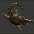 Realistic Crocodile With Open Mouth Sharp Teeth And Brown Scales On Gray Background
