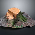 Natural Wooden Stump with Cut Section and Moss Covered Stone Base Texture