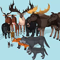 Various Wild Animals Including Deer Moose Bears Foxes Wolves And Rabbits Together