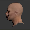 Three Bald Human Head 3D Models Showing Detailed Facial Organs And Features
