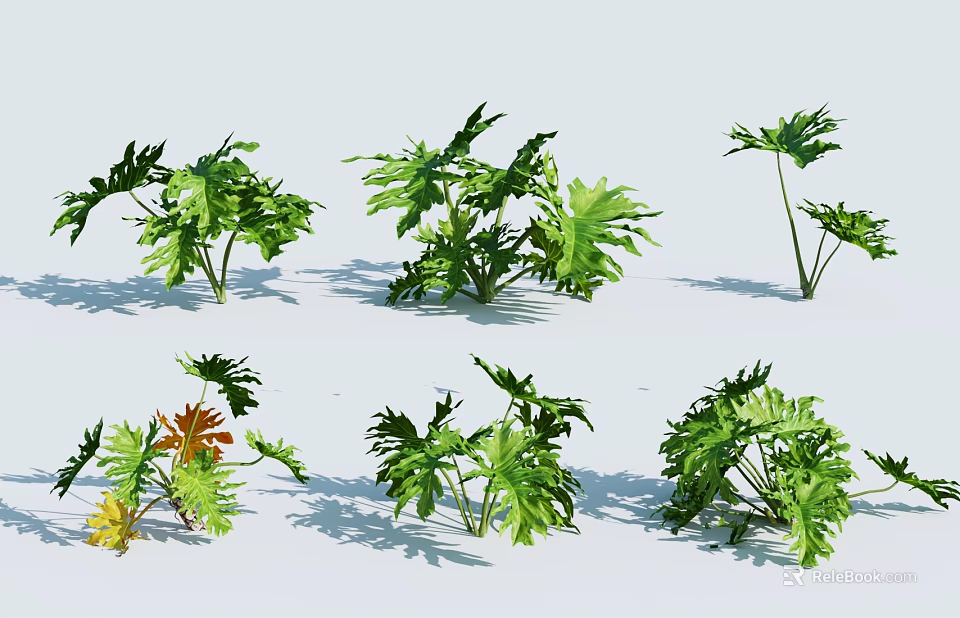 Various Green Tropical Plants With Different Leaf Shapes For Display On White Background 3d model
