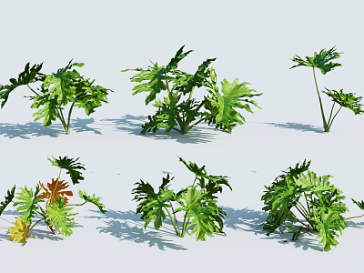 Various Green Tropical Plants With Different Leaf Shapes For Display On White Background 3d model