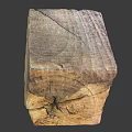 Natural Tree Timber Block With Visible Growth Rings And Surface Cracks 3d model