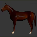 Realistic Red Horse 3D Model With White Hooves Standing On Dark Background
