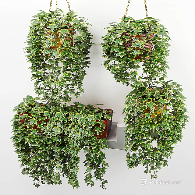Hanging Basket Plants With Lush Trailing Greenery For Indoor Wall Decor 3d model 