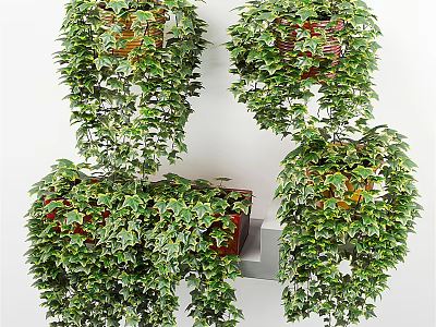 Hanging Basket Plants With Lush Trailing Greenery For Indoor Wall Decor 3d model