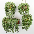 Hanging Basket Plants With Lush Trailing Greenery For Indoor Wall Decor