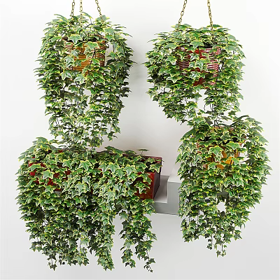 Hanging Basket Plants With Lush Trailing Greenery For Indoor Wall Decor 3d model