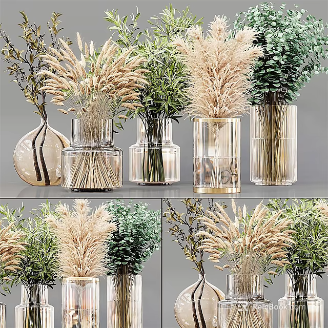 Transparent Glass Vases With Pampas Grass And Green Plants For Home Decorative 3d model 