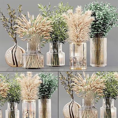 Transparent Glass Vases With Pampas Grass And Green Plants For Home Decorative 3d model