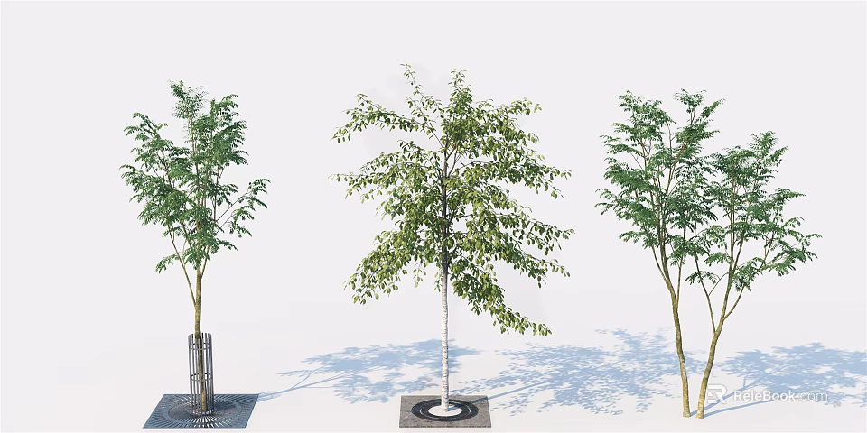 Three Arbor Trees With Green Leaves Planted In Different Bases And Shadow Effects 3d model 