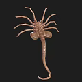 Detailed Brown Scorpion 3D Model With Segmented Body And Curved Tail