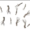 Natural Wooden Roots And Branches Collection With Various Shapes And Sizes
