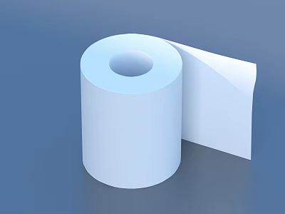 White Soft Toilet Paper Roll For Household Daily Bathroom Use 3d model