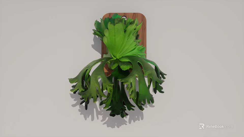 Green Hanging Plant With Fern Like Leaves On Wooden Board 3d model 