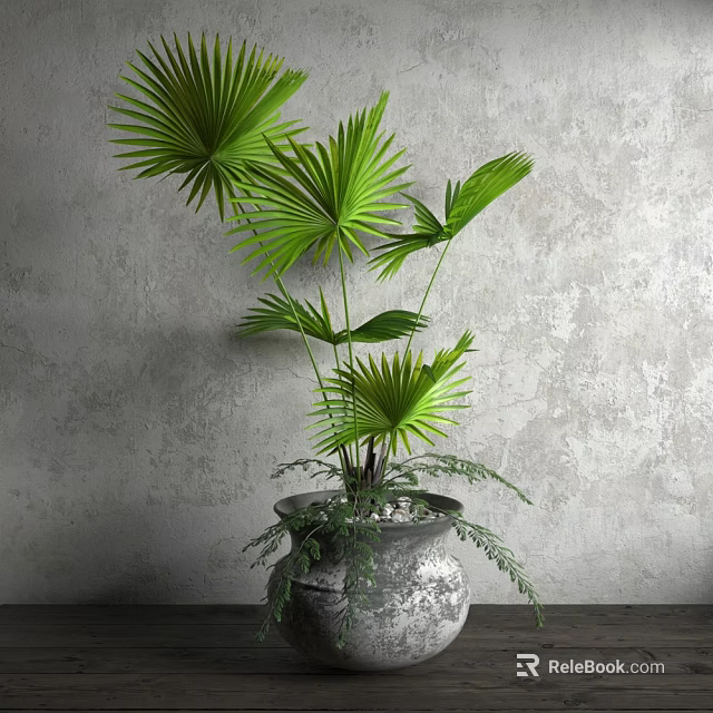 Indoor Decorative Potted Plant Featuring Large Green Palm Leaves in Textured Gray Pot 3d model 