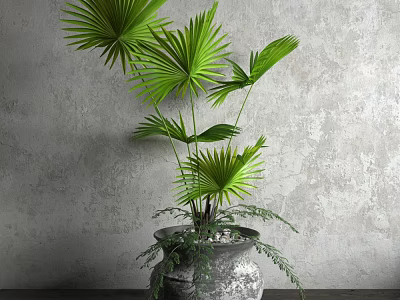 Indoor Decorative Potted Plant Featuring Large Green Palm Leaves in Textured Gray Pot 3d model
