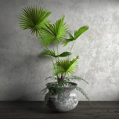 Indoor Decorative Potted Plant Featuring Large Green Palm Leaves in Textured Gray Pot 3d model