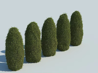 Five Neatly Trimmed Conical Green Shrubs Arranged On Light Colored Background 3d model