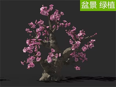 Ornamental Arbor Tree Bonsai Green Plant with Pink Blossoms Decorative Style 3d model