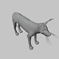 African Wild Dog With Distinctive Spotted Coat And Large Ears Standing